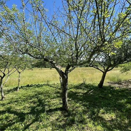 Tatil Evi Casa De Lamas *