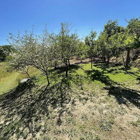 Feriehus Casa De Lamas