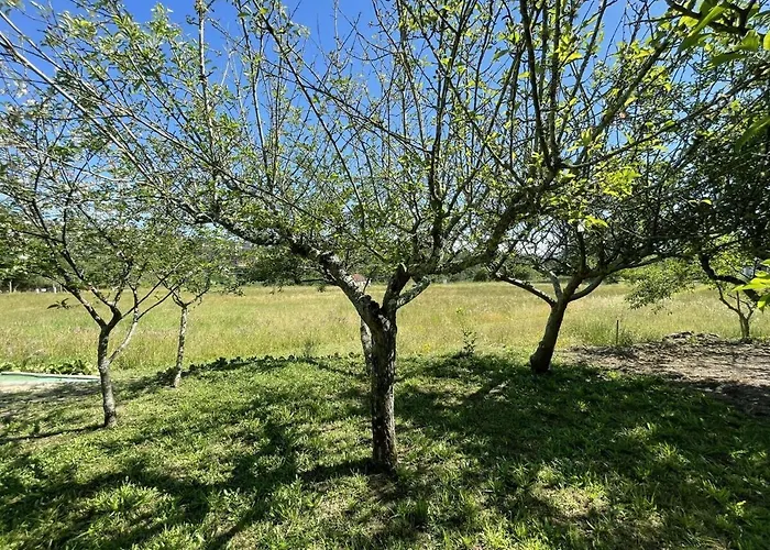 Tatil Evi Casa De Lamas *